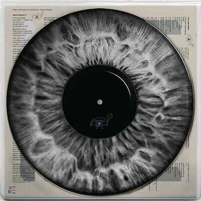 Arcade Fire - We Picture Lp