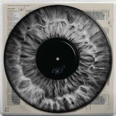 Arcade Fire - We Picture Lp