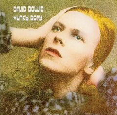 David Bowie – Hunky Dory 33'lük Plak