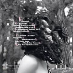 GÖKSEL – MEKTUBUMU BULDUN MU 33'lük Yeni Baskı Plak