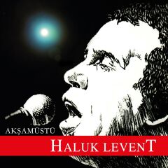 -Haluk Levent - Akşamüstü 33'lük Yeni Baskı Plak