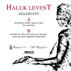 Haluk Levent - Akşamüstü 33'lük Yeni Baskı Plak