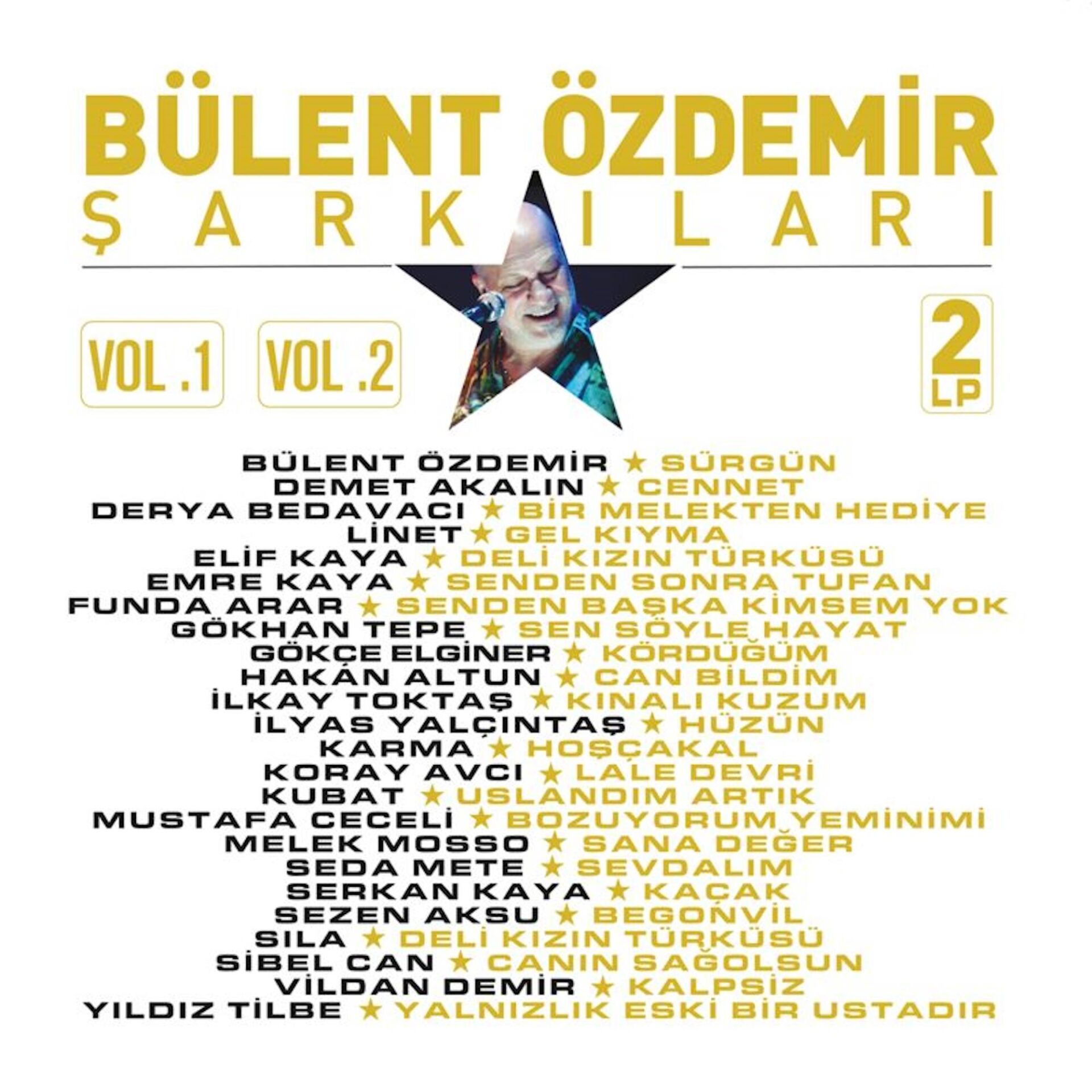 Bülent Özdemir Şarkıları - 2'li Plak