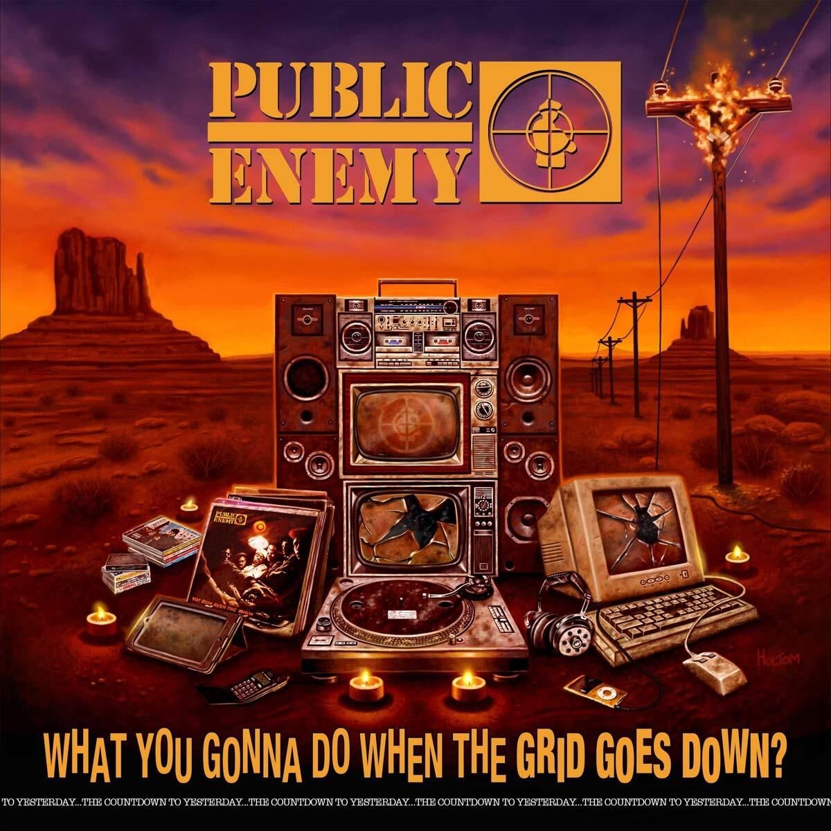 Public Enemy - What You Gonna Do When The Grid Goes Down Plak
