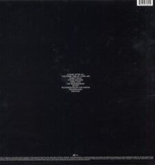 Daft Punk – Human After All 2'li Plak