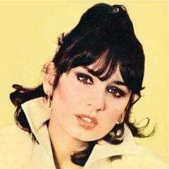 Sezen Aksu - Allaha Ismarladık Plak