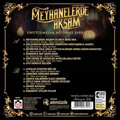 -Meyhanelerde Akşam - Mustafa Oruç Plak