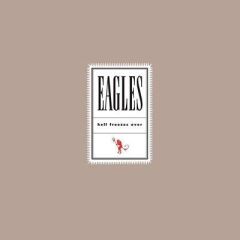 Eagles - Hell Freezes Over 33'lük Çift Plak