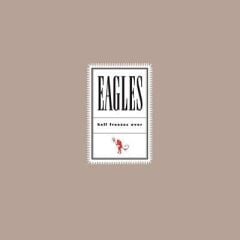 Eagles - Hell Freezes Over 33'lük Çift Plak