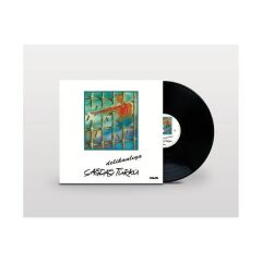 Çağdaş Türkü - Delikanlıya 33'lük Yeni Baskı Plak