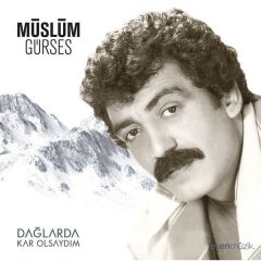-Müslüm Gürses - Dağlarda Kar Olsaydım 33'lük Plak
