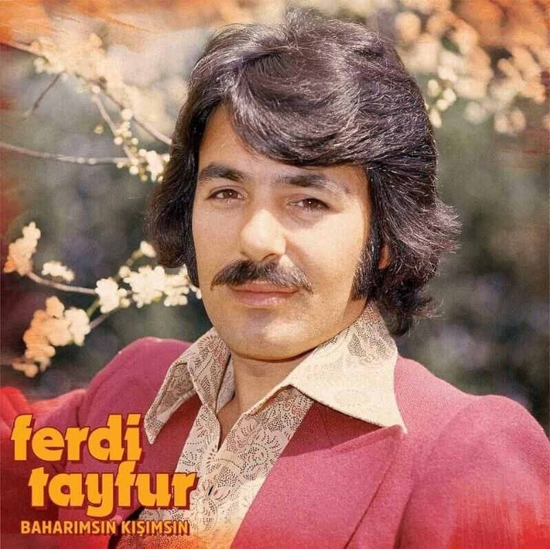 Ferdi Tayfur – Baharımsın Kışımsın