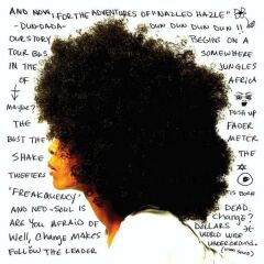Erykah Badu - Worldwide Underground Mor Plak