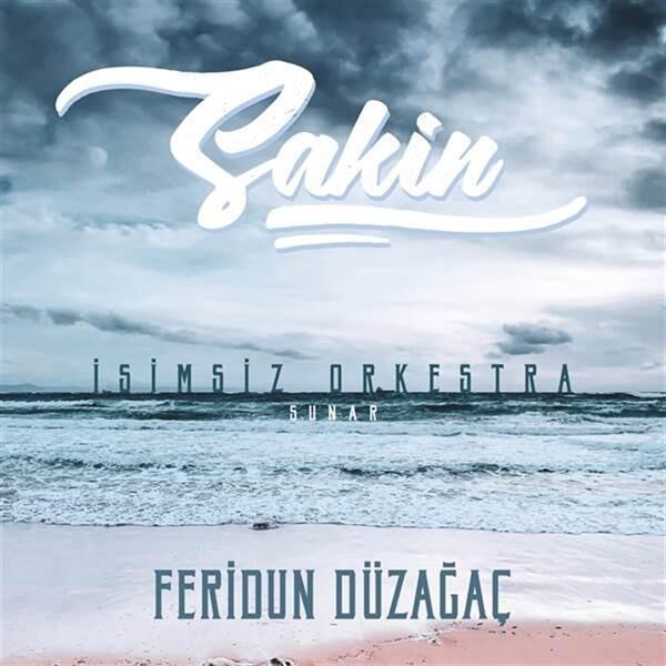 Feridun Düzağaç - Sakin 33'lük Plak