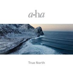 a-ha – True North 33'lük Çift Plak
