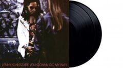 Lenny Kravitz - Are You Gonna Go My Way 2 Plak