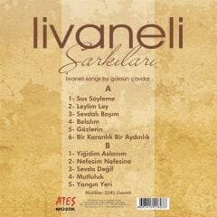 Zülfü Livaneli Şarkıları - Enstrümental