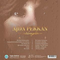Ajda Pekkan - Unutulmayanlar  (Plak - 33 Devir)