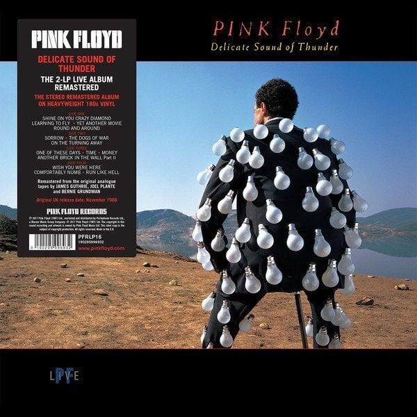 Pink Floyd - Delicate Sound Of Thunder 33'lük Çift Plak
