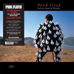 Pink Floyd - Delicate Sound Of Thunder 33'lük Çift Plak