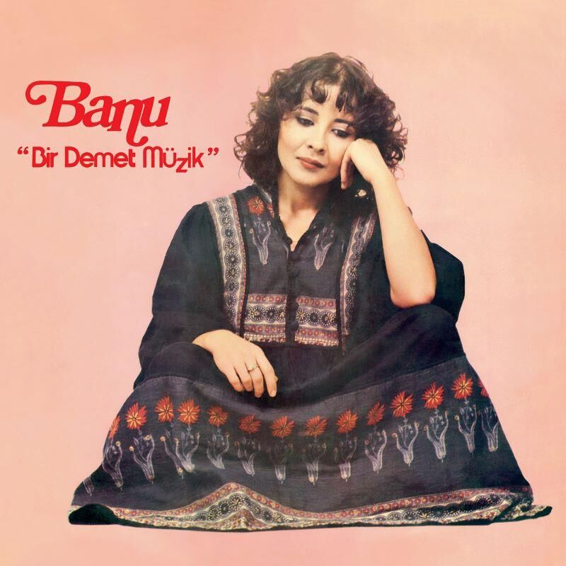 Banu - Bir Demet Müzik 33'lük Yeni Baskı Plak