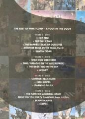 The Best Of Pink Floyd: A Foot In The Door (2 Plak)
