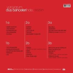 Sezen Aksu - Yürüyorum Düş Bahçelerinde (3'lü Plak - 33 Devir)