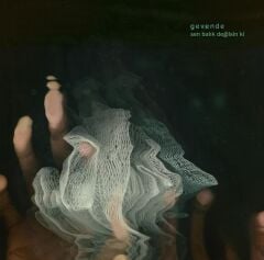 Gevende - Sen Balık Değilsin Ki Plak