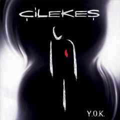 Çilekeş: Y.O.K. - Plak