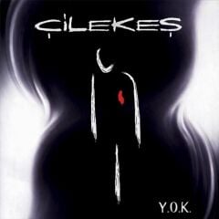 Çilekeş: Y.O.K. - Plak