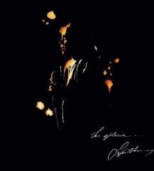 Sezen Aksu - Sen Ağlama Plak