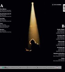 Sezen Aksu - Sen Ağlama Plak