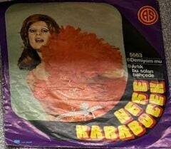 Neşe Karaböcek – Demiyom Mu / Artık Bu Solan Bahçede - 45'lik Dönem Plak