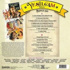 Yeşilçam Şarkıları - Nasıl Geçti Habersiz (Yeni Baskı Plak)