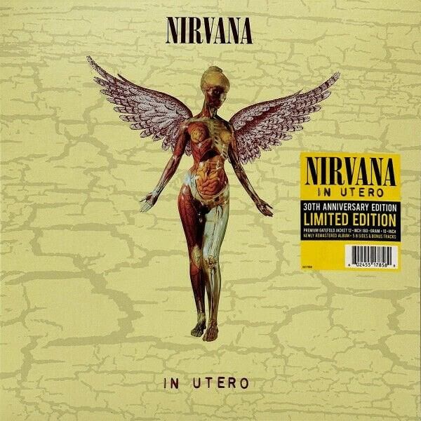 Nirvana – In Utero 33'lük Çift Plak (2023, 30th Anniversary)