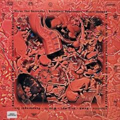 Nirvana – In Utero 33'lük Çift Plak (2023, 30th Anniversary)