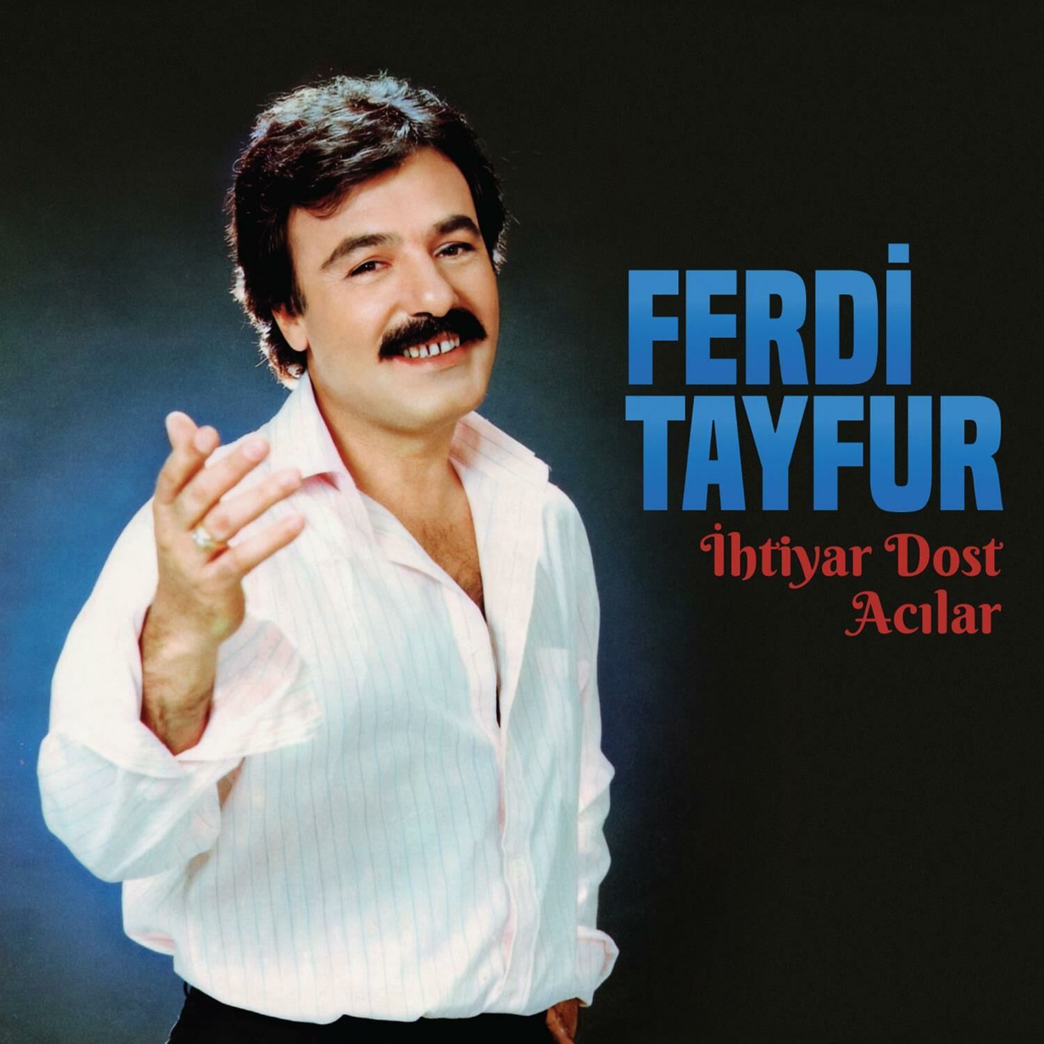 Ferdi Tayfur - İhtiyar Dost Plak