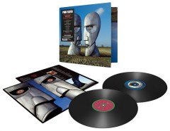 Pink Floyd - The Division Bell - 2016 Remaster (2 Plak)
