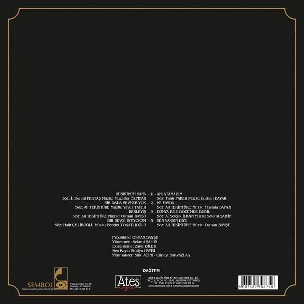 Bülent Ersoy - Düşkünüm Sana (plak)
