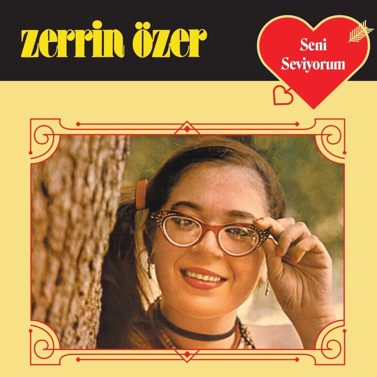 Zerrin Özer - Seni Seviyorum (Plak - 33 Devir)