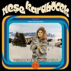 Neşe Karaböcek - Yeşilçamdan Seçmeler 2 Plak
