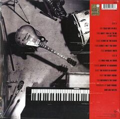 Gary Moore - After Hours 33'lük Plak