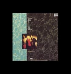 Nirvana - Nevermind (Plak)