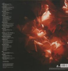 Madonna – Something To Remember Plak