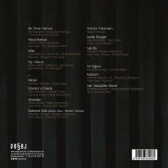 Müslüm Gürses - Aşk Tesadüfleri Sever Plak