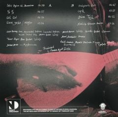 Moğollar - Anatolian Sun Part 1 (Plak - 33 Devir)