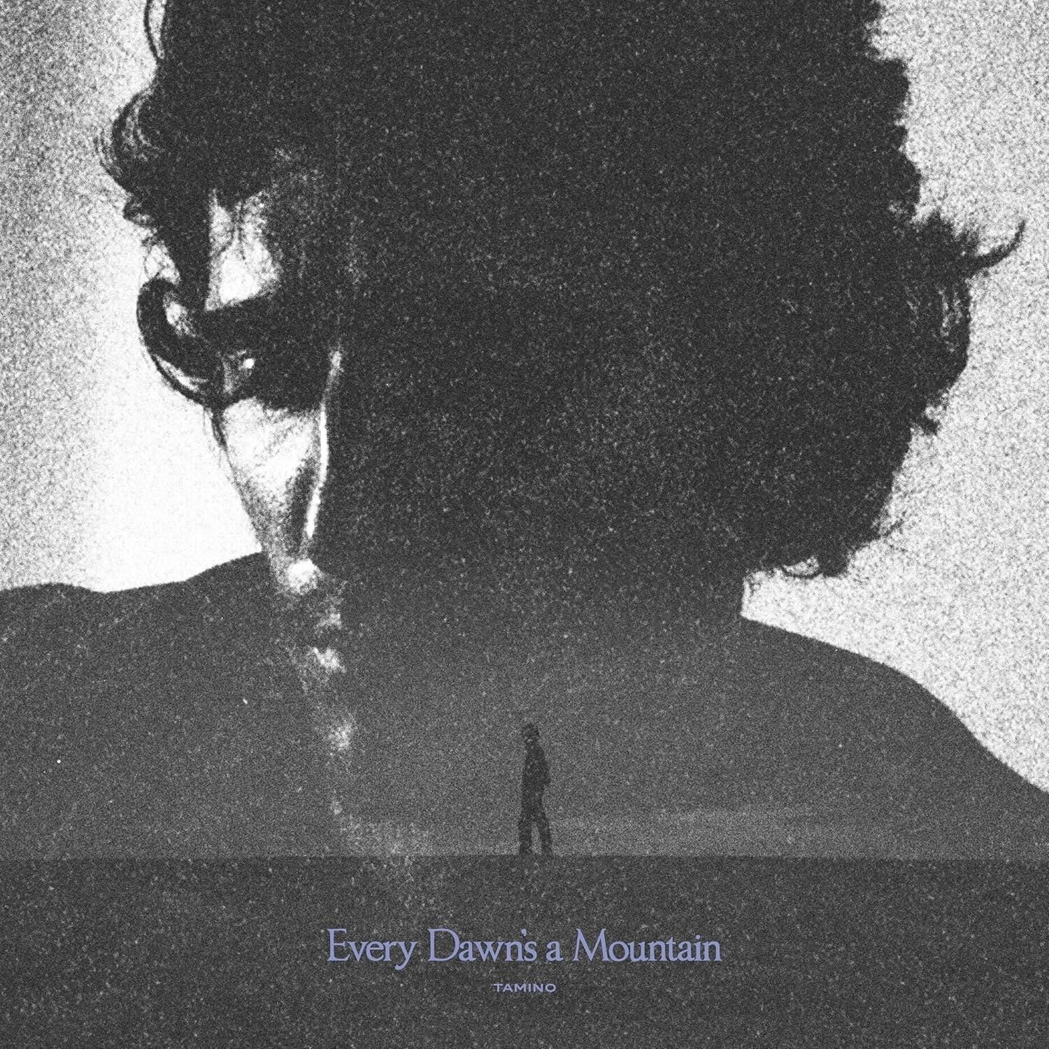 Tamino - Every Dawn's A Mountain Plak