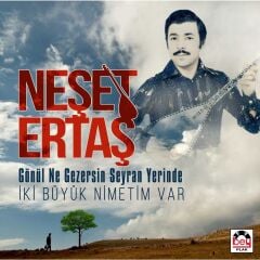 Neşet Ertaş - Gönül Ne Gezersin Seyran Yerinde (Plak - 33 Devir)