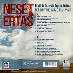 Neşet Ertaş - Gönül Ne Gezersin Seyran Yerinde (Plak - 33 Devir)