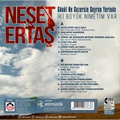 Neşet Ertaş - Gönül Ne Gezersin Seyran Yerinde (Plak - 33 Devir)